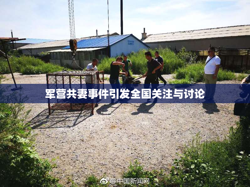军营共妻事件引发全国关注与讨论