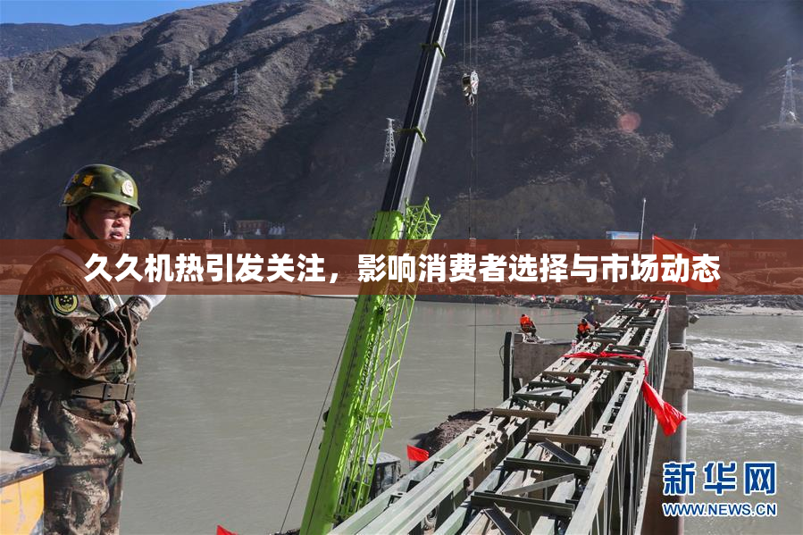 久久机热引发关注，影响消费者选择与市场动态