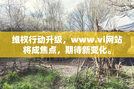 维权行动升级，www.vi网站将成焦点，期待新变化。