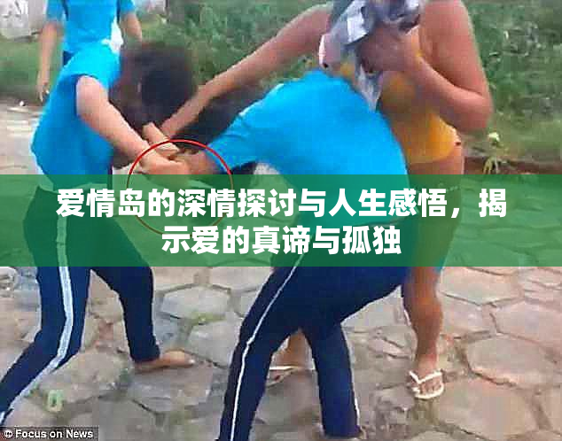 爱情岛的深情探讨与人生感悟，揭示爱的真谛与孤独