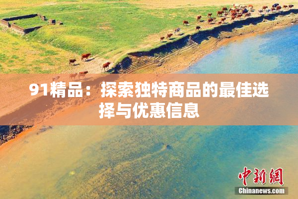 91精品：探索独特商品的最佳选择与优惠信息