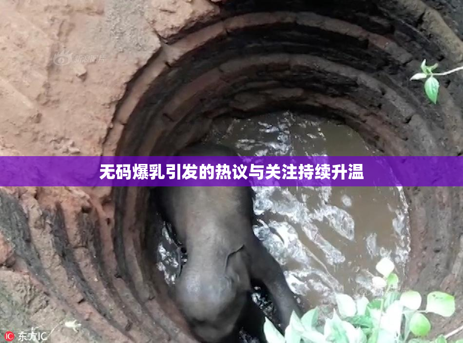 无码爆乳引发的热议与关注持续升温
