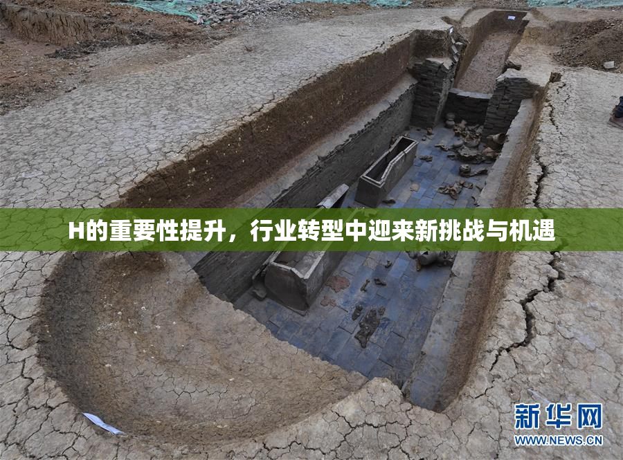 H的重要性提升，行业转型中迎来新挑战与机遇