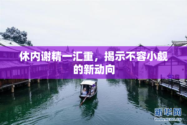 休内谢精一汇重，揭示不容小觑的新动向