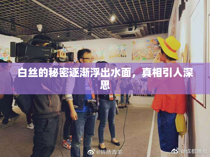 白丝的秘密逐渐浮出水面，真相引人深思