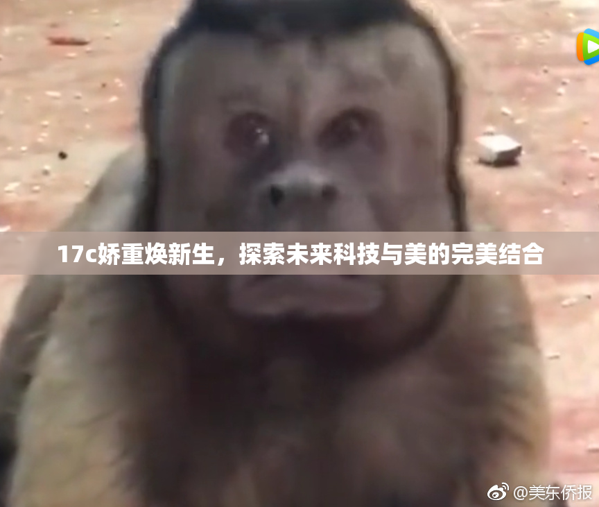17c娇重焕新生，探索未来科技与美的完美结合