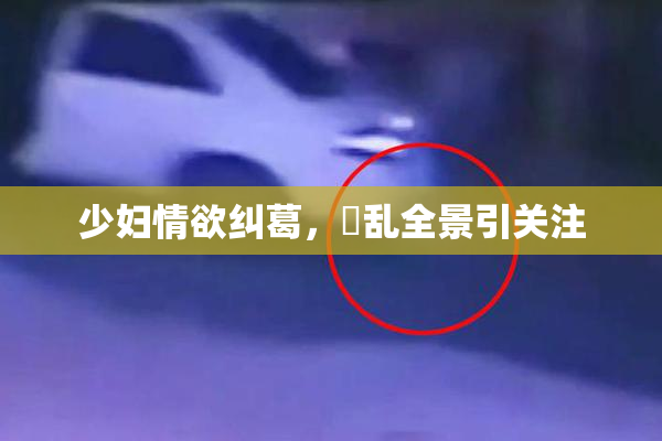 少妇情欲纠葛，婬乱全景引关注