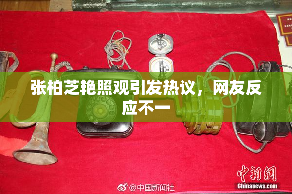 张柏芝艳照观引发热议，网友反应不一