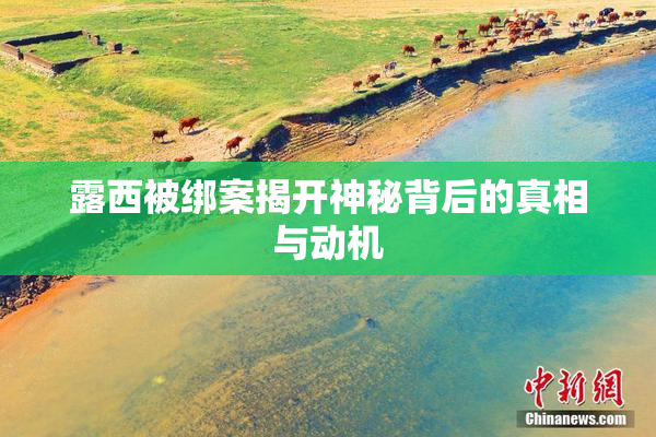 露西被绑案揭开神秘背后的真相与动机