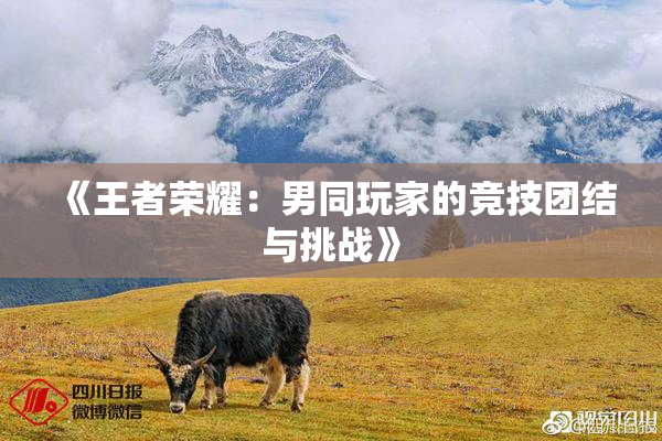 《王者荣耀：男同玩家的竞技团结与挑战》