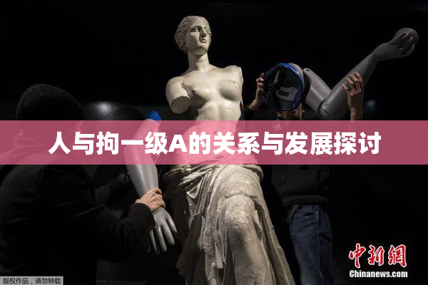 人与拘一级A的关系与发展探讨
