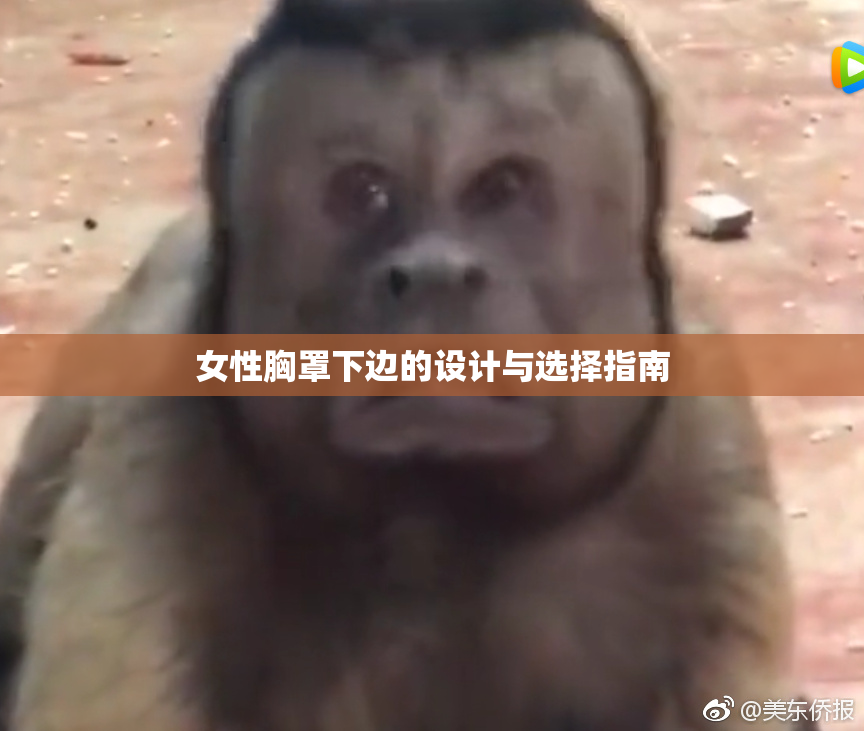 女性胸罩下边的设计与选择指南