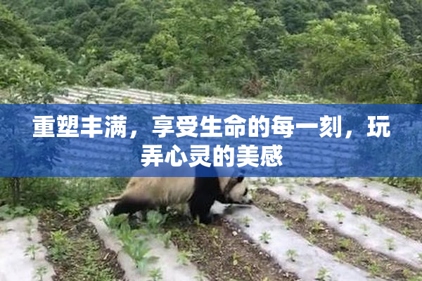 重塑丰满，享受生命的每一刻，玩弄心灵的美感