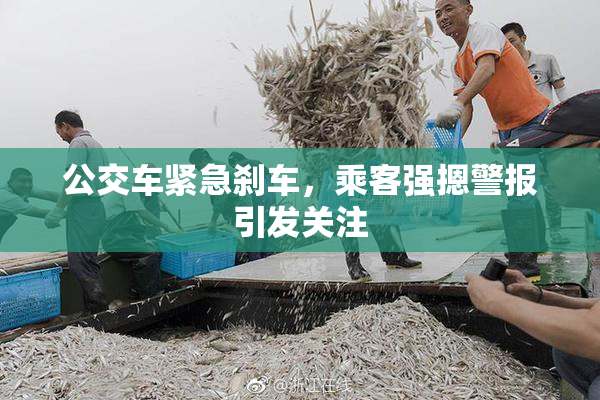 公交车紧急刹车，乘客强摁警报引发关注