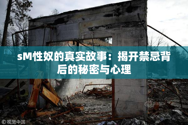 sM性奴的真实故事：揭开禁忌背后的秘密与心理