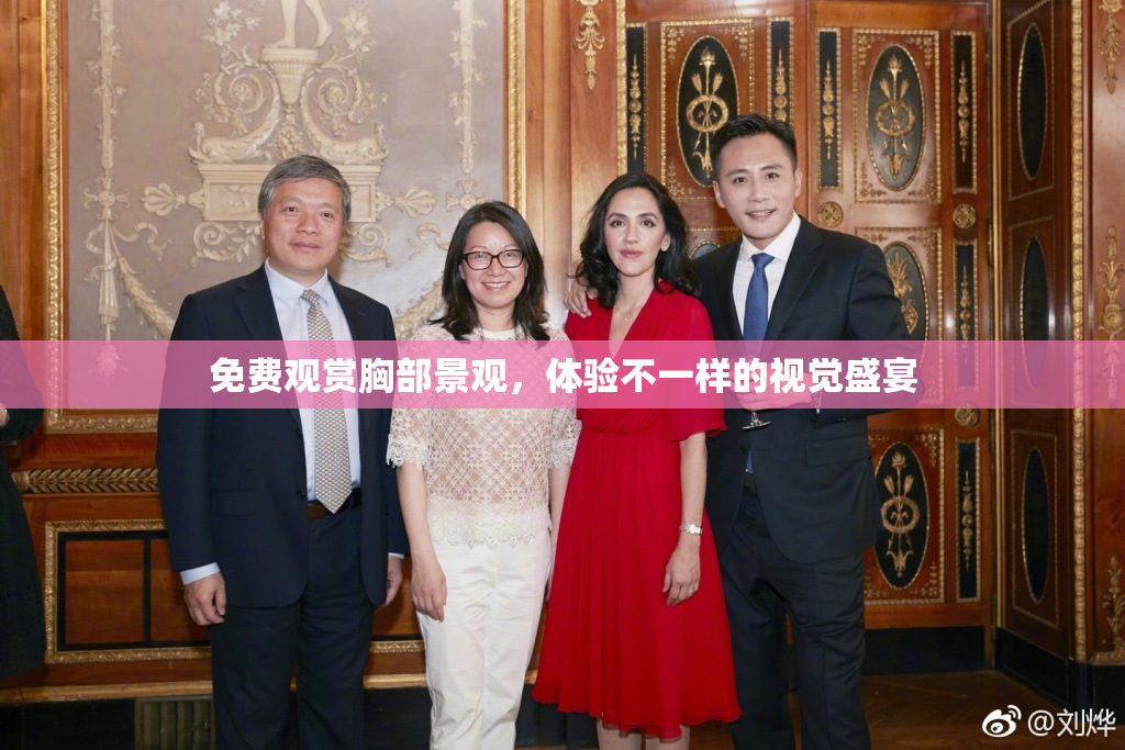 免费观赏胸部景观，体验不一样的视觉盛宴