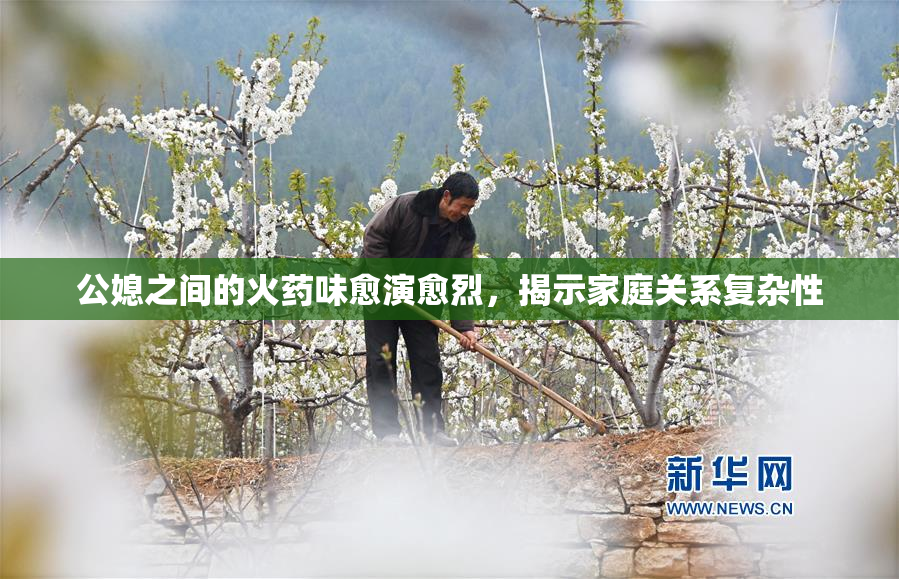 公媳之间的火药味愈演愈烈，揭示家庭关系复杂性