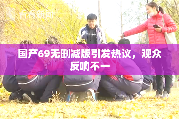 国产69无删减版引发热议，观众反响不一