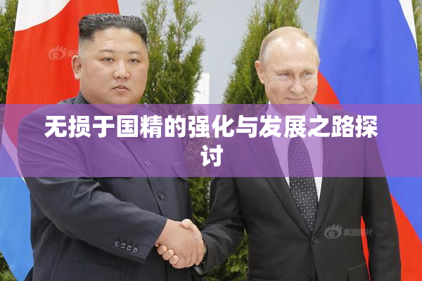 无损于国精的强化与发展之路探讨