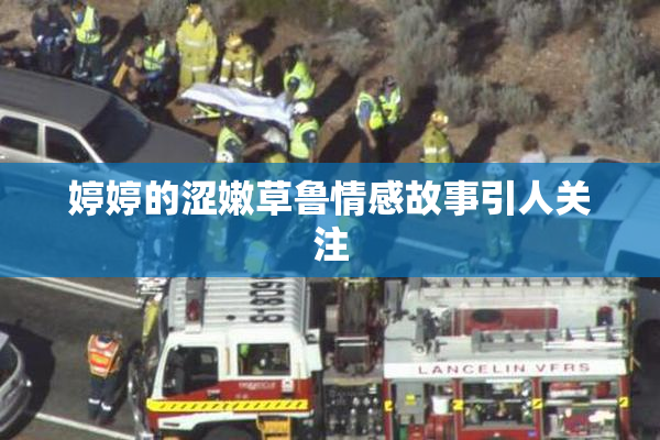 婷婷的涩嫩草鲁情感故事引人关注