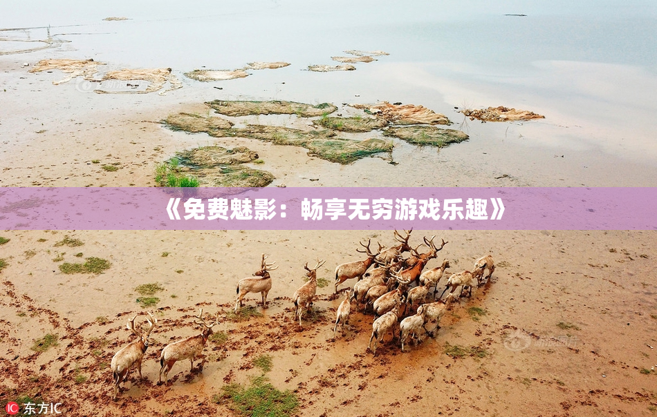 《免费魅影：畅享无穷游戏乐趣》