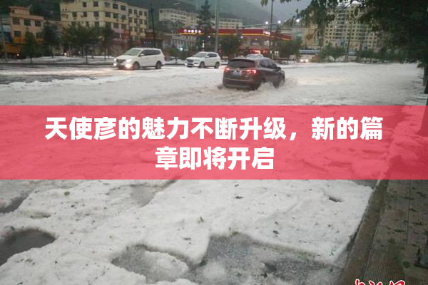 天使彦的魅力不断升级，新的篇章即将开启