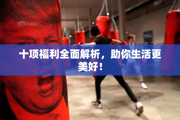 十项福利全面解析，助你生活更美好！