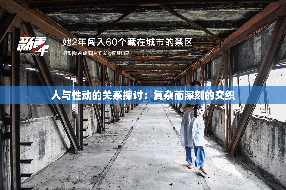 人与性动的关系探讨：复杂而深刻的交织