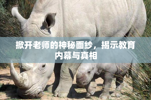 掀开老师的神秘面纱，揭示教育内幕与真相