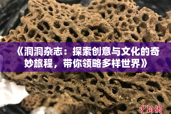 《洞洞杂志：探索创意与文化的奇妙旅程，带你领略多样世界》