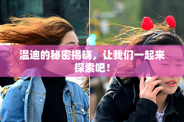 温迪的秘密揭晓，让我们一起来探索吧！