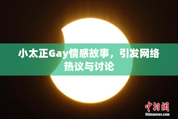 小太正Gay情感故事，引发网络热议与讨论