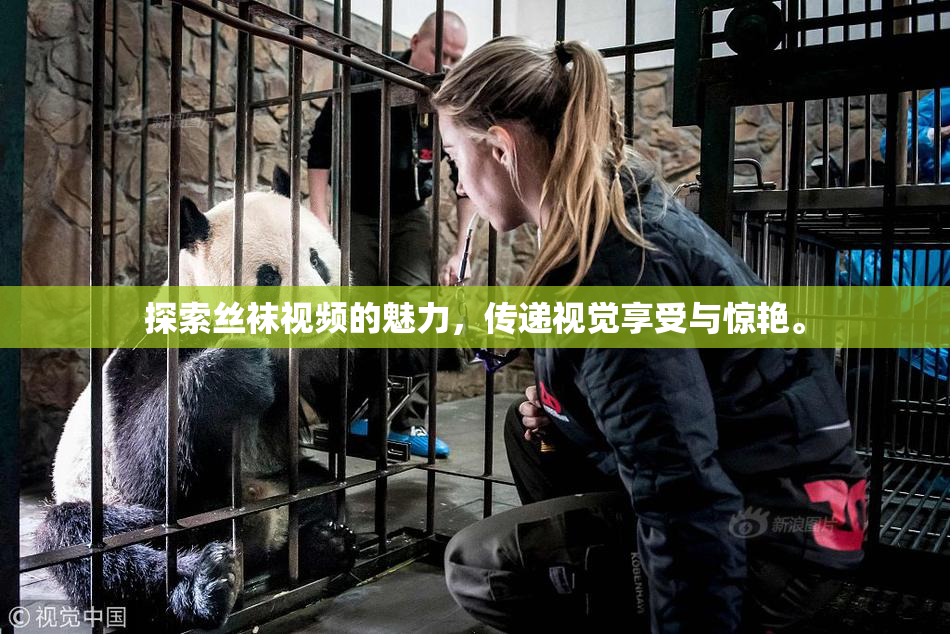 探索丝袜视频的魅力，传递视觉享受与惊艳。