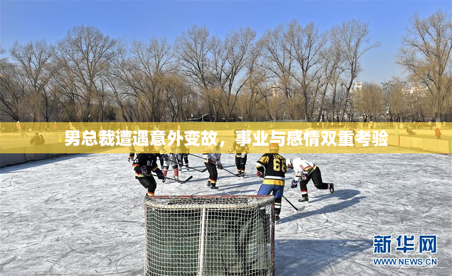 男总裁遭遇意外变故，事业与感情双重考验