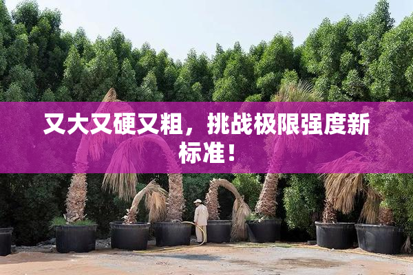 又大又硬又粗，挑战极限强度新标准！