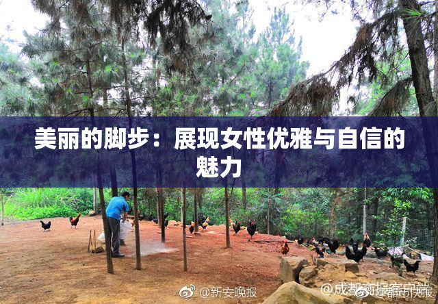 美丽的脚步：展现女性优雅与自信的魅力