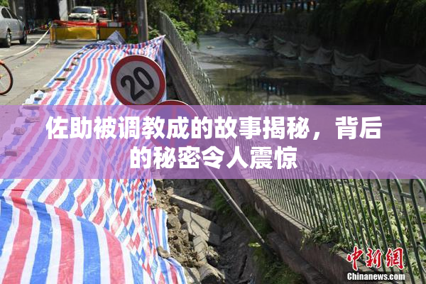 佐助被调教成的故事揭秘，背后的秘密令人震惊