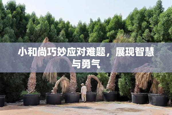 小和尚巧妙应对难题，展现智慧与勇气