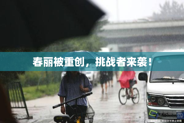 春丽被重创，挑战者来袭！