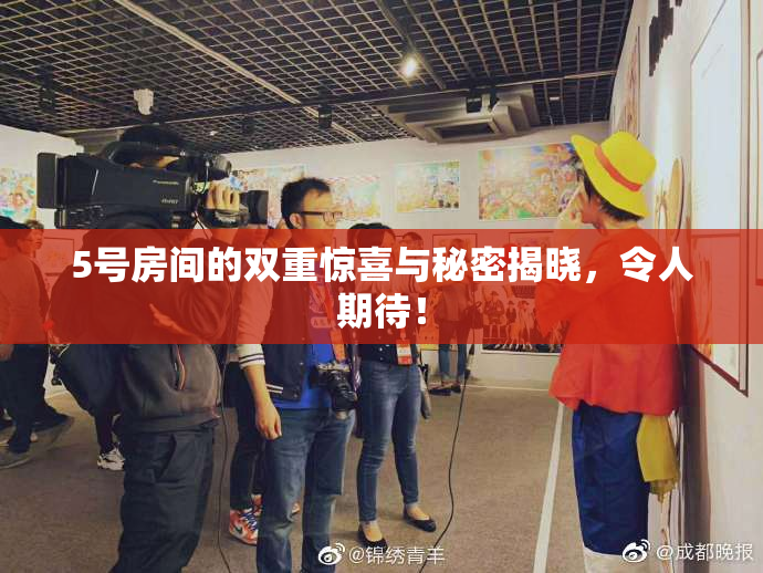 5号房间的双重惊喜与秘密揭晓，令人期待！