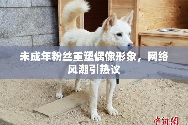 未成年粉丝重塑偶像形象，网络风潮引热议
