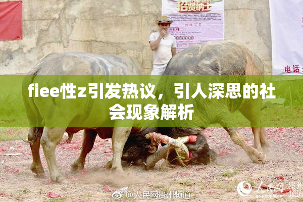 fiee性z引发热议，引人深思的社会现象解析