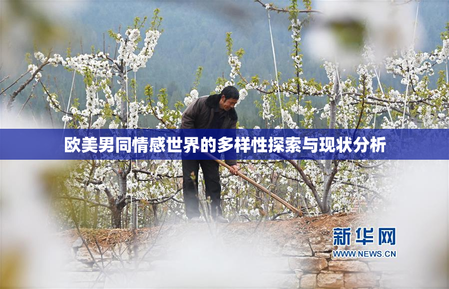 欧美男同情感世界的多样性探索与现状分析