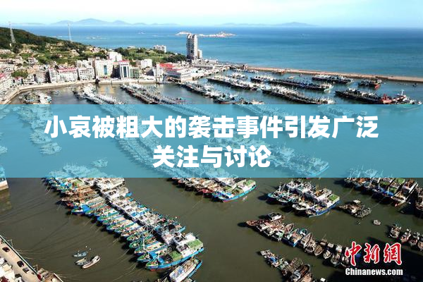 小哀被粗大的袭击事件引发广泛关注与讨论