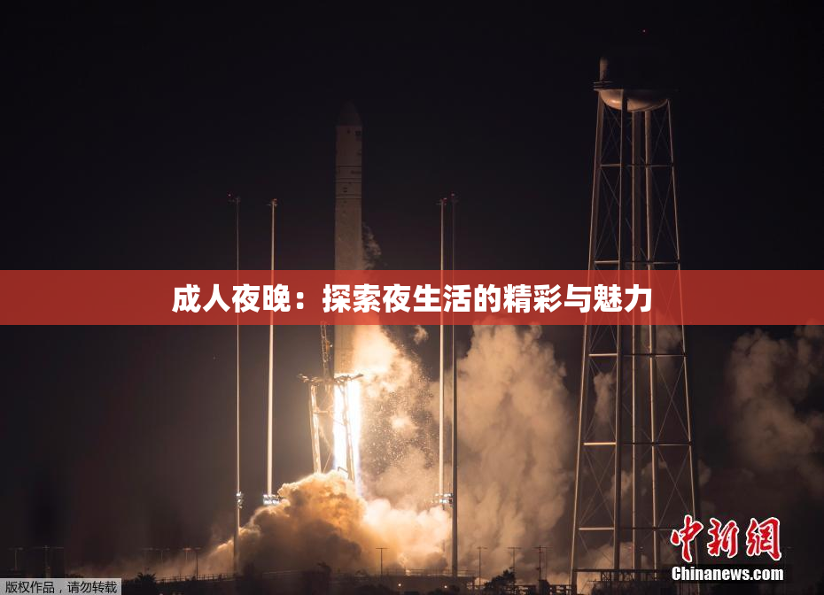 成人夜晚：探索夜生活的精彩与魅力