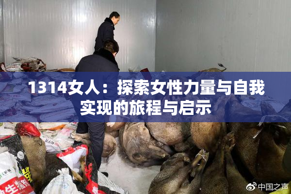 1314女人：探索女性力量与自我实现的旅程与启示