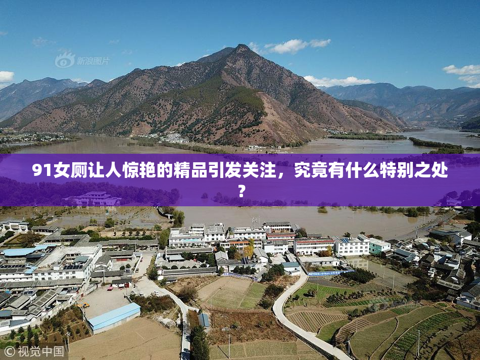 91女厕让人惊艳的精品引发关注，究竟有什么特别之处？