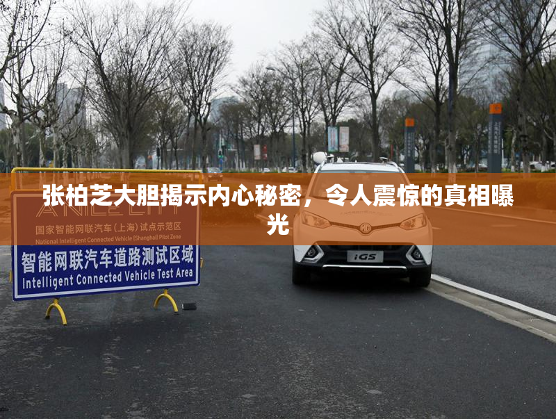 张柏芝大胆揭示内心秘密，令人震惊的真相曝光