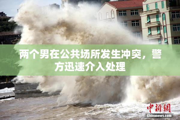 两个男在公共场所发生冲突，警方迅速介入处理