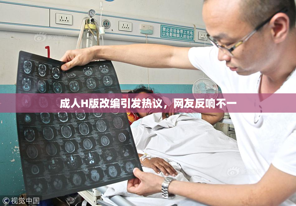 成人H版改编引发热议，网友反响不一